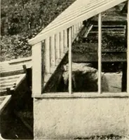 Picture 262 of 295 from House & garden's book of gardens; containing over four hundred illustrations of special flower types, plans and suggestions for landscape work, a complete gardener's calendar of the year's activities, planting and spraying tables, and a portfolio of beautiful gardens in varied sections of the United States and foreign countries (1921), leaf 119