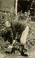 An illustration from House & garden's book of gardens; containing over four hundred illustrations of special flower types, plans and suggestions for landscape work, a complete gardener's calendar of the year's activities, planting and spraying tables, and a portfolio of beautiful gardens in varied sections of the United States and foreign countries (1921)