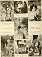 An illustration from House & garden's book of gardens; containing over four hundred illustrations of special flower types, plans and suggestions for landscape work, a complete gardener's calendar of the year's activities, planting and spraying tables, and a portfolio of beautiful gardens in varied sections of the United States and foreign countries (1921)