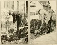 An illustration from House & garden's book of gardens; containing over four hundred illustrations of special flower types, plans and suggestions for landscape work, a complete gardener's calendar of the year's activities, planting and spraying tables, and a portfolio of beautiful gardens in varied sections of the United States and foreign countries (1921)