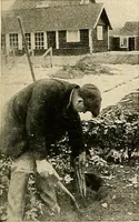 An illustration from House & garden's book of gardens; containing over four hundred illustrations of special flower types, plans and suggestions for landscape work, a complete gardener's calendar of the year's activities, planting and spraying tables, and a portfolio of beautiful gardens in varied sections of the United States and foreign countries (1921)