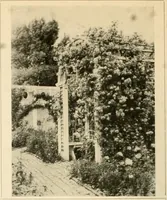 Picture 10 of 295 from House & garden's book of gardens; containing over four hundred illustrations of special flower types, plans and suggestions for landscape work, a complete gardener's calendar of the year's activities, planting and spraying tables, and a portfolio of beautiful gardens in varied sections of the United States and foreign countries (1921), leaf 17