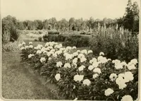 Picture 14 of 295 from House & garden's book of gardens; containing over four hundred illustrations of special flower types, plans and suggestions for landscape work, a complete gardener's calendar of the year's activities, planting and spraying tables, and a portfolio of beautiful gardens in varied sections of the United States and foreign countries (1921), leaf 19