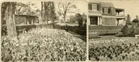 Picture 17 of 295 from House & garden's book of gardens; containing over four hundred illustrations of special flower types, plans and suggestions for landscape work, a complete gardener's calendar of the year's activities, planting and spraying tables, and a portfolio of beautiful gardens in varied sections of the United States and foreign countries (1921), leaf 21