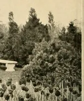Picture 18 of 295 from House & garden's book of gardens; containing over four hundred illustrations of special flower types, plans and suggestions for landscape work, a complete gardener's calendar of the year's activities, planting and spraying tables, and a portfolio of beautiful gardens in varied sections of the United States and foreign countries (1921), leaf 21