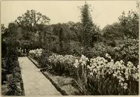 Picture 21 of 295 from House & garden's book of gardens; containing over four hundred illustrations of special flower types, plans and suggestions for landscape work, a complete gardener's calendar of the year's activities, planting and spraying tables, and a portfolio of beautiful gardens in varied sections of the United States and foreign countries (1921), leaf 22