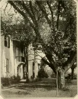 An illustration from House & garden's book of gardens; containing over four hundred illustrations of special flower types, plans and suggestions for landscape work, a complete gardener's calendar of the year's activities, planting and spraying tables, and a portfolio of beautiful gardens in varied sections of the United States and foreign countries (1921)