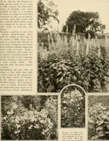 An illustration from House & garden's book of gardens; containing over four hundred illustrations of special flower types, plans and suggestions for landscape work, a complete gardener's calendar of the year's activities, planting and spraying tables, and a portfolio of beautiful gardens in varied sections of the United States and foreign countries (1921)