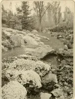 Picture 46 of 295 from House & garden's book of gardens; containing over four hundred illustrations of special flower types, plans and suggestions for landscape work, a complete gardener's calendar of the year's activities, planting and spraying tables, and a portfolio of beautiful gardens in varied sections of the United States and foreign countries (1921), leaf 37