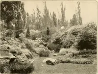 Picture 48 of 295 from House & garden's book of gardens; containing over four hundred illustrations of special flower types, plans and suggestions for landscape work, a complete gardener's calendar of the year's activities, planting and spraying tables, and a portfolio of beautiful gardens in varied sections of the United States and foreign countries (1921), leaf 38