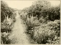 An illustration from House & garden's book of gardens; containing over four hundred illustrations of special flower types, plans and suggestions for landscape work, a complete gardener's calendar of the year's activities, planting and spraying tables, and a portfolio of beautiful gardens in varied sections of the United States and foreign countries (1921)