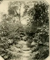An illustration from House & garden's book of gardens; containing over four hundred illustrations of special flower types, plans and suggestions for landscape work, a complete gardener's calendar of the year's activities, planting and spraying tables, and a portfolio of beautiful gardens in varied sections of the United States and foreign countries (1921)