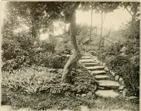 An illustration from House & garden's book of gardens; containing over four hundred illustrations of special flower types, plans and suggestions for landscape work, a complete gardener's calendar of the year's activities, planting and spraying tables, and a portfolio of beautiful gardens in varied sections of the United States and foreign countries (1921)