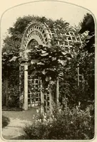An illustration from House & garden's book of gardens; containing over four hundred illustrations of special flower types, plans and suggestions for landscape work, a complete gardener's calendar of the year's activities, planting and spraying tables, and a portfolio of beautiful gardens in varied sections of the United States and foreign countries (1921)