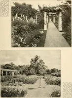 An illustration from House & garden's book of gardens; containing over four hundred illustrations of special flower types, plans and suggestions for landscape work, a complete gardener's calendar of the year's activities, planting and spraying tables, and a portfolio of beautiful gardens in varied sections of the United States and foreign countries (1921)