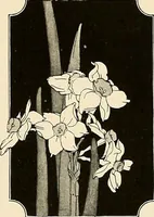 An illustration from House & garden's book of gardens; containing over four hundred illustrations of special flower types, plans and suggestions for landscape work, a complete gardener's calendar of the year's activities, planting and spraying tables, and a portfolio of beautiful gardens in varied sections of the United States and foreign countries (1921)