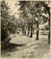 An illustration from House & garden's book of gardens; containing over four hundred illustrations of special flower types, plans and suggestions for landscape work, a complete gardener's calendar of the year's activities, planting and spraying tables, and a portfolio of beautiful gardens in varied sections of the United States and foreign countries (1921)