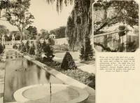 Picture 110 of 295 from House & garden's book of gardens; containing over four hundred illustrations of special flower types, plans and suggestions for landscape work, a complete gardener's calendar of the year's activities, planting and spraying tables, and a portfolio of beautiful gardens in varied sections of the United States and foreign countries (1921), leaf 74