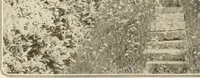 An illustration from House & garden's book of gardens; containing over four hundred illustrations of special flower types, plans and suggestions for landscape work, a complete gardener's calendar of the year's activities, planting and spraying tables, and a portfolio of beautiful gardens in varied sections of the United States and foreign countries (1921)