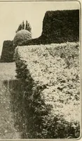An illustration from House & garden's book of gardens; containing over four hundred illustrations of special flower types, plans and suggestions for landscape work, a complete gardener's calendar of the year's activities, planting and spraying tables, and a portfolio of beautiful gardens in varied sections of the United States and foreign countries (1921)