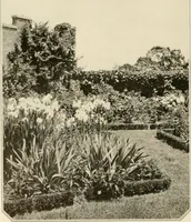 An illustration from House & garden's book of gardens; containing over four hundred illustrations of special flower types, plans and suggestions for landscape work, a complete gardener's calendar of the year's activities, planting and spraying tables, and a portfolio of beautiful gardens in varied sections of the United States and foreign countries (1921)