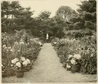 Picture 128 of 295 from House & garden's book of gardens; containing over four hundred illustrations of special flower types, plans and suggestions for landscape work, a complete gardener's calendar of the year's activities, planting and spraying tables, and a portfolio of beautiful gardens in varied sections of the United States and foreign countries (1921), leaf 83