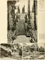 Picture 131 of 295 from House & garden's book of gardens; containing over four hundred illustrations of special flower types, plans and suggestions for landscape work, a complete gardener's calendar of the year's activities, planting and spraying tables, and a portfolio of beautiful gardens in varied sections of the United States and foreign countries (1921), leaf 85