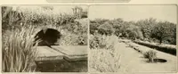 An illustration from House & garden's book of gardens; containing over four hundred illustrations of special flower types, plans and suggestions for landscape work, a complete gardener's calendar of the year's activities, planting and spraying tables, and a portfolio of beautiful gardens in varied sections of the United States and foreign countries (1921)
