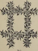 Picture 89 of 285 from Household elegancies : suggestions in household art and tasteful home decorations (1876), leaf 104