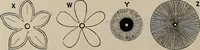 An illustration from Household elegancies : suggestions in household art and tasteful home decorations (1876)