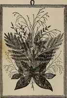 An illustration from Household elegancies : suggestions in household art and tasteful home decorations (1876)