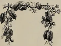An illustration from Household elegancies : suggestions in household art and tasteful home decorations (1876)