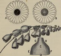 Picture 173 of 285 from Household elegancies : suggestions in household art and tasteful home decorations (1876), leaf 190