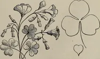 An illustration from Household elegancies : suggestions in household art and tasteful home decorations (1876)