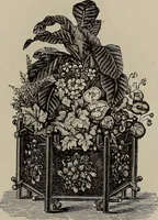 An illustration from Household elegancies : suggestions in household art and tasteful home decorations (1876)
