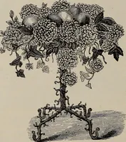 An illustration from Household elegancies : suggestions in household art and tasteful home decorations (1876)