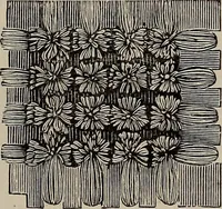 An illustration from Household elegancies : suggestions in household art and tasteful home decorations (1876)