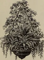 An illustration from Household elegancies : suggestions in household art and tasteful home decorations (1876)