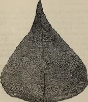 An illustration from Household elegancies : suggestions in household art and tasteful home decorations (1876)