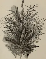 An illustration from Household elegancies : suggestions in household art and tasteful home decorations (1876)