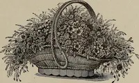 An illustration from Household elegancies : suggestions in household art and tasteful home decorations (1876)
