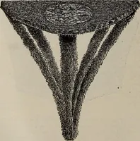 An illustration from Household elegancies : suggestions in household art and tasteful home decorations (1876)