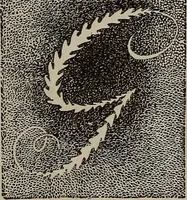 An illustration from Household elegancies : suggestions in household art and tasteful home decorations (1876)