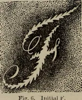 An illustration from Household elegancies : suggestions in household art and tasteful home decorations (1876)