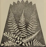 An illustration from Household elegancies : suggestions in household art and tasteful home decorations (1876)