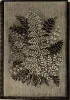 An illustration from Household elegancies : suggestions in household art and tasteful home decorations (1876)