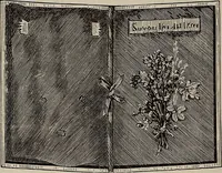 An illustration from Household elegancies : suggestions in household art and tasteful home decorations (1876)