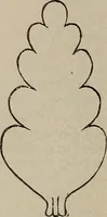An illustration from Household elegancies : suggestions in household art and tasteful home decorations (1876)