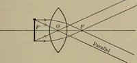 Picture 71 of 217 from Household physics (1919), leaf 126