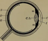 Picture 76 of 217 from Household physics (1919), leaf 131